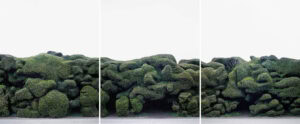 Tamas Dezso Everything is Leaf