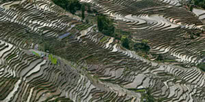 Edward Burtynsky