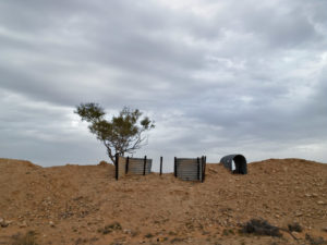 Shai Kremer Infected Landscape