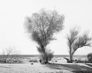 Mimi Plumb The Reservoir black and white photo of family under trees in the desert