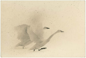 Masao Yamamoto Kawa=Flow