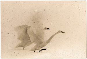 Masao Yamamoto Kawa=Flow