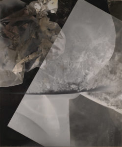 Rachelle Bussières abstract photogram
