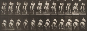 Eadweard Muybridge Horses