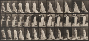 Eadweard Muybridge Women and Children