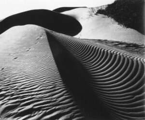 Brett Weston