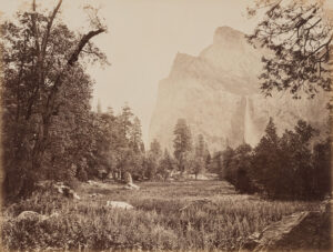 Carleton E. Watkins